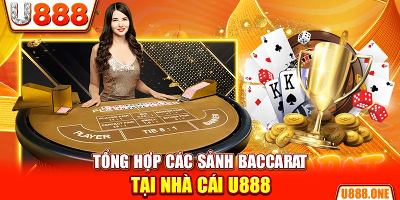 sh bet casino ở đâu
