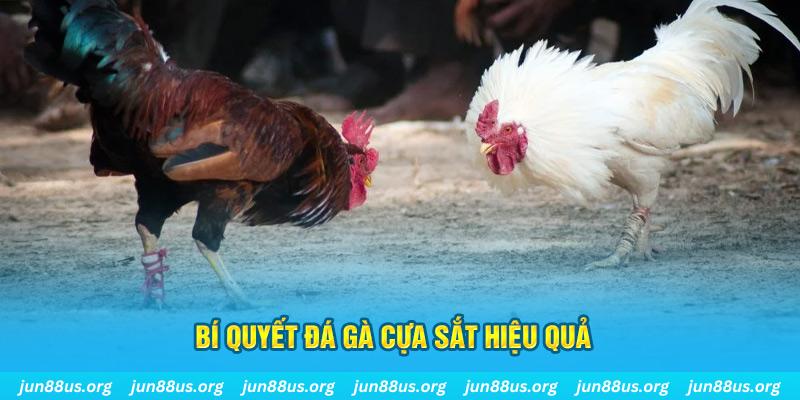 sh bet nổ hũ may mắn