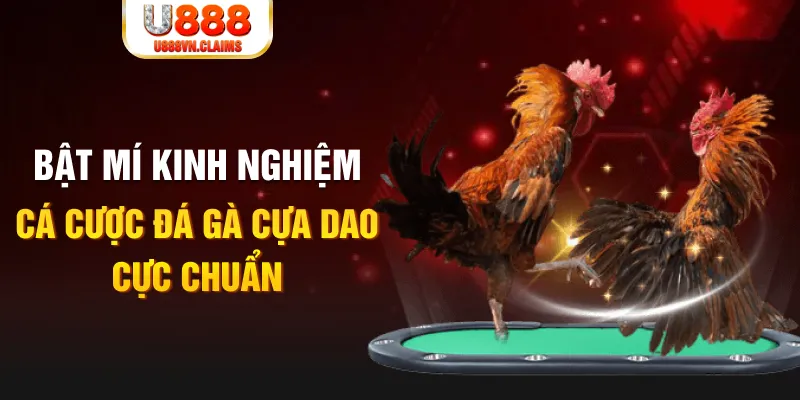 sh bet casino hồ tràm có cho người việt vào không