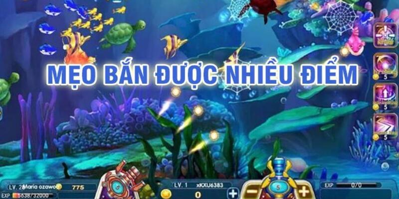 sh bet baccarat có lừa đảo không