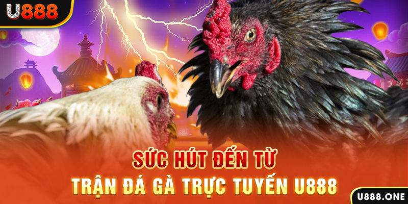 sh bet đăng nhập poker 2024