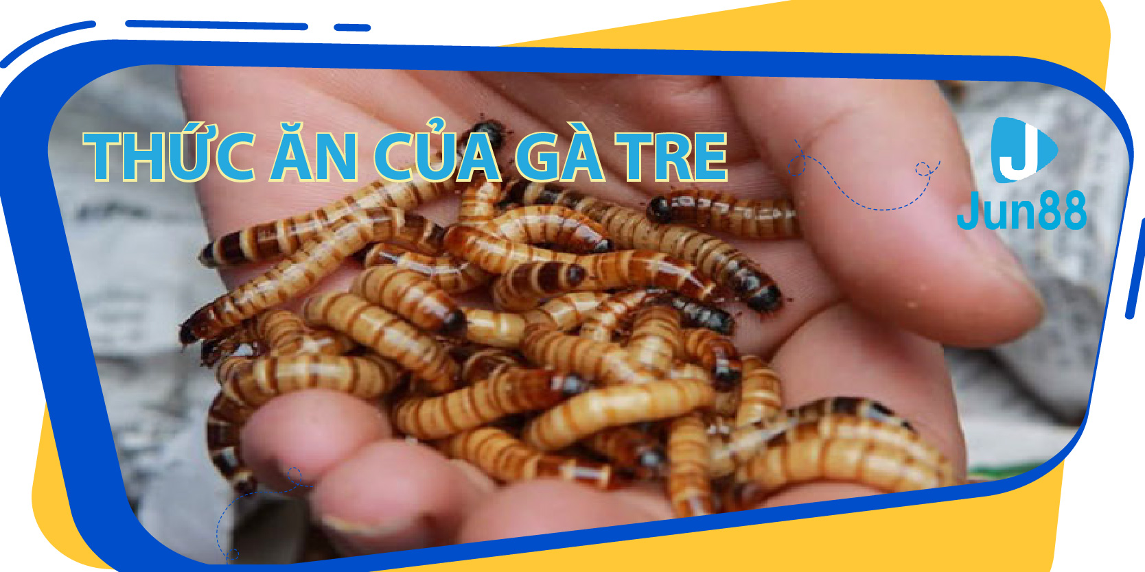 sh bet ban ca 30