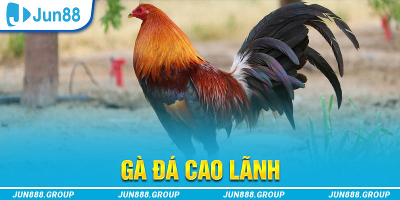 sh bet tai game vua bai ve may tinh