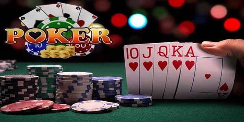 sh bet đăng nhập roulette dễ thắng
