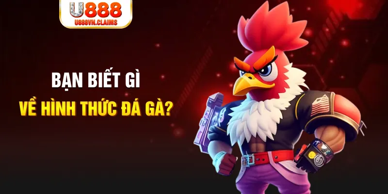 sh bet đăng nhập liêng tặng tiền