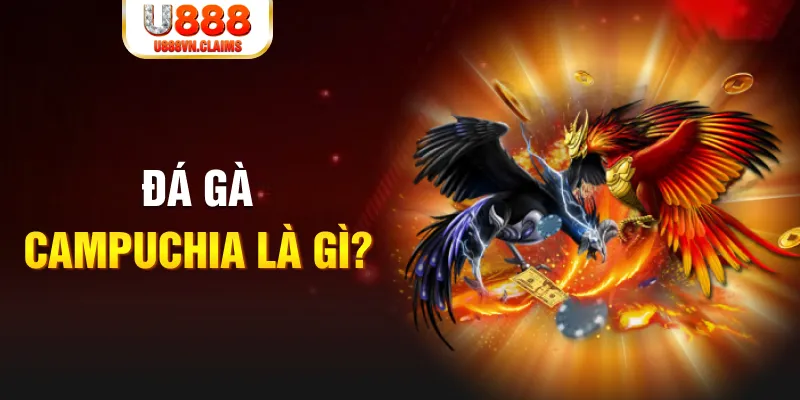 sh bet what is the best online casino for real money