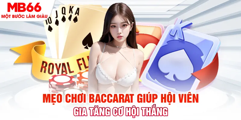 sh bet nỗ hũ là gì