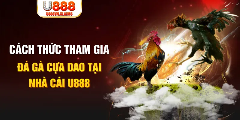 sh bet đá gà 88.com