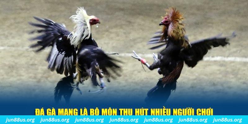 sh bet đăng nhập sòng bạc số 1