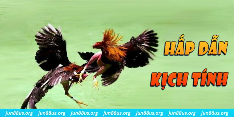 sh bet xổ số miền nam thứ sáu
