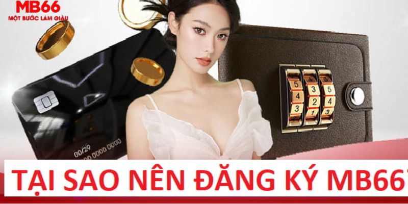 sh bet trực tiếp gà chọi c1