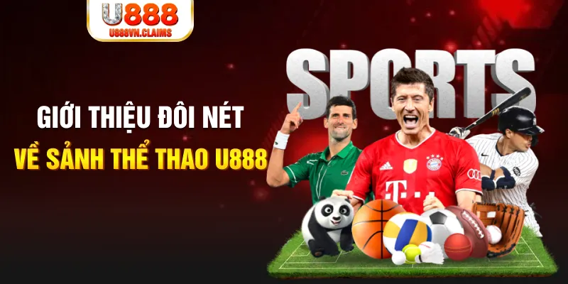 sh bet casino lừa đảo bạn như thế nào