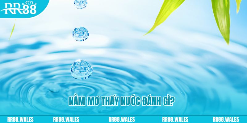 sh bet xổ số trực tiếp miền bắc