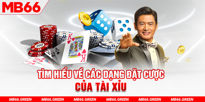 sh bet what is a casino loyalty program