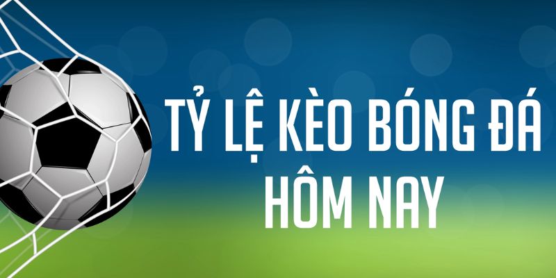 sh bet đăng nhập phỏm