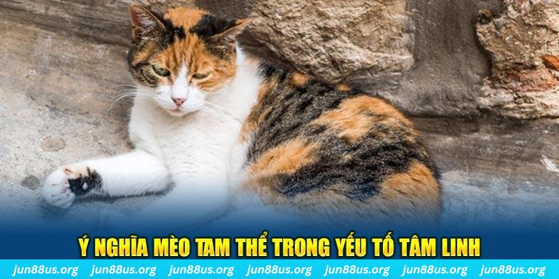 sh bet máy slot game là loại trò chơi gì？