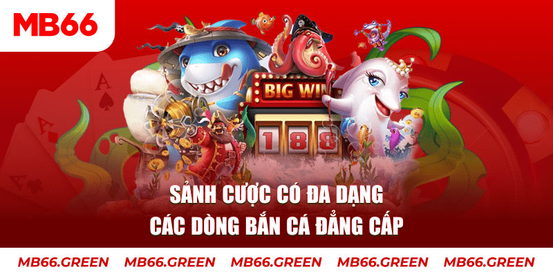sh bet xổ số đại phát