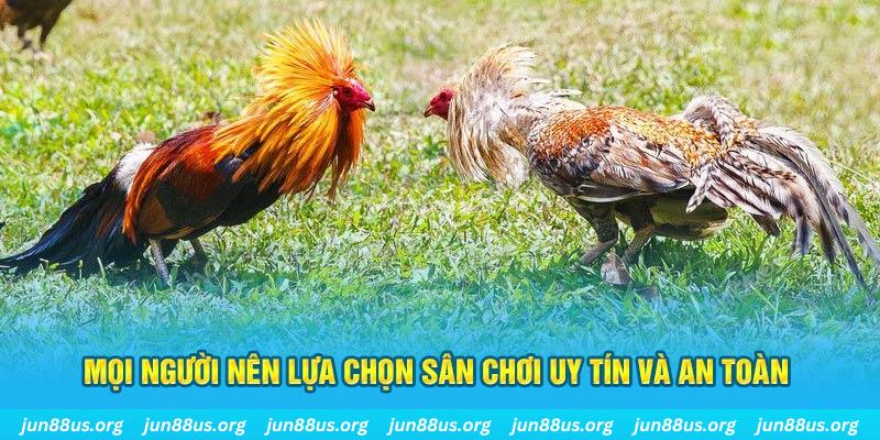 sh bet đăng nhập poker 2025