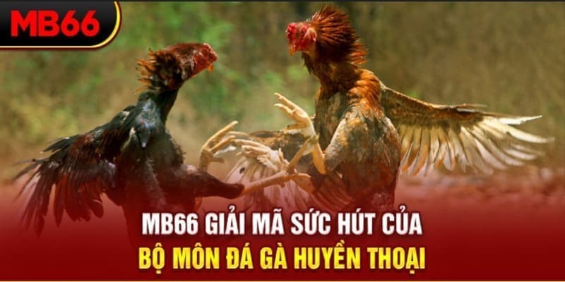sh bet xổ số đài bắc