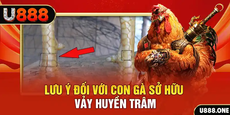 sh bet tải game đánh bài tiến lên miền nam về máy tính