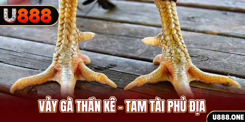 sh bet so xo mien trung