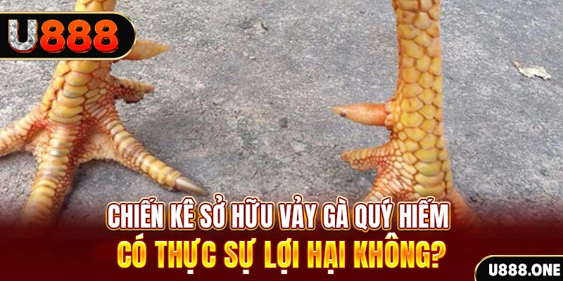 sh bet xổ số miền trung