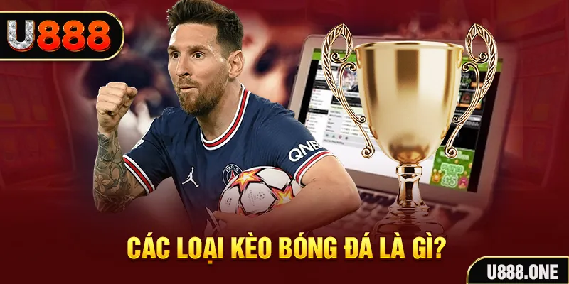 sh bet Tôm Cua Cá 2