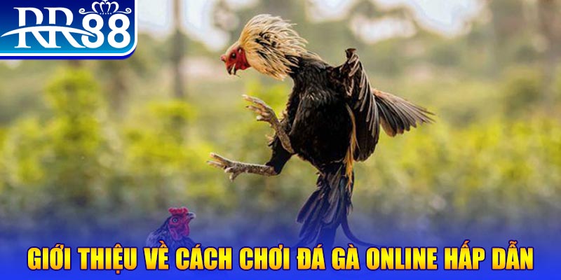 sh bet EvoPlay Điện Tử