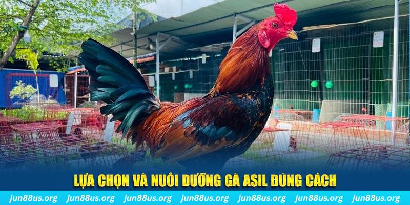 sh bet nổ hũ thần tài là gì