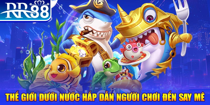 sh bet đăng nhập mậu binh dễ thắng