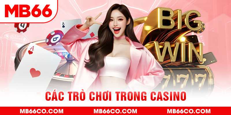 sh bet chổi lông gà