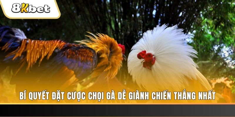 sh bet nổ hũ chơi như thế nào