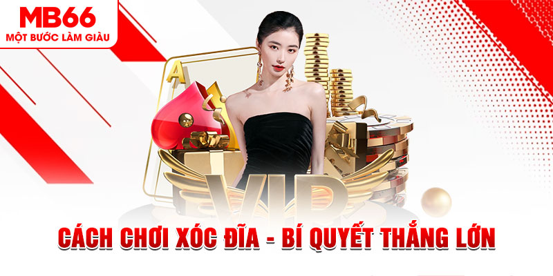 sh bet Đĩa màu ace
