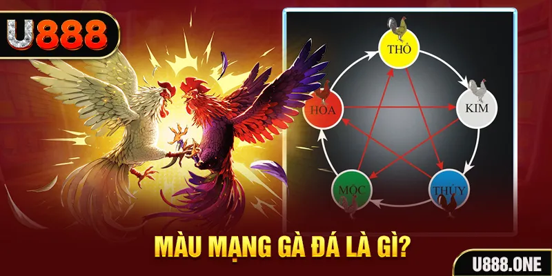 sh bet V8 Game Bài 3d
