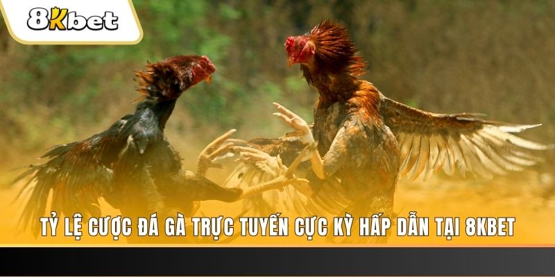 sh bet xổ số miền bắc chủ nhật