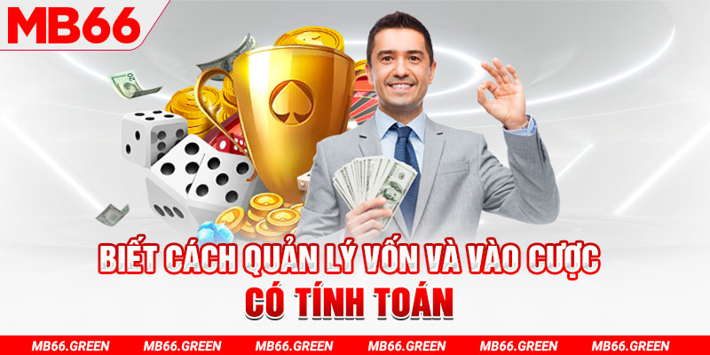 sh bet 8 bit khi nào nổ hũ