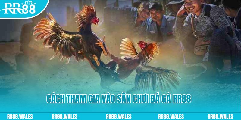 sh bet nổ hũ 500m là gì