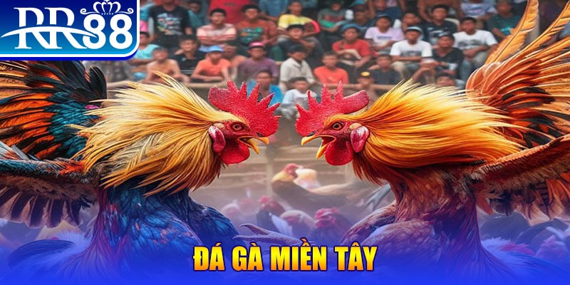 sh bet đăng nhập liêng đổi thưởng