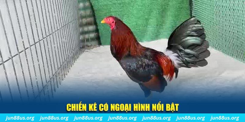 sh bet qq88 bắn cá