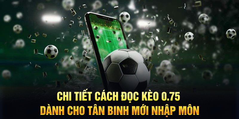 sh bet Xì tố