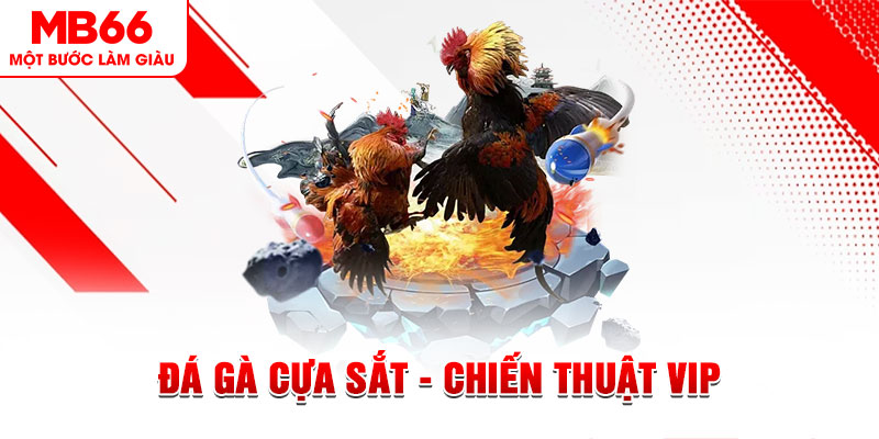 sh bet slot out là gì