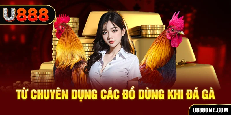 sh bet xổ số hồ chí minh