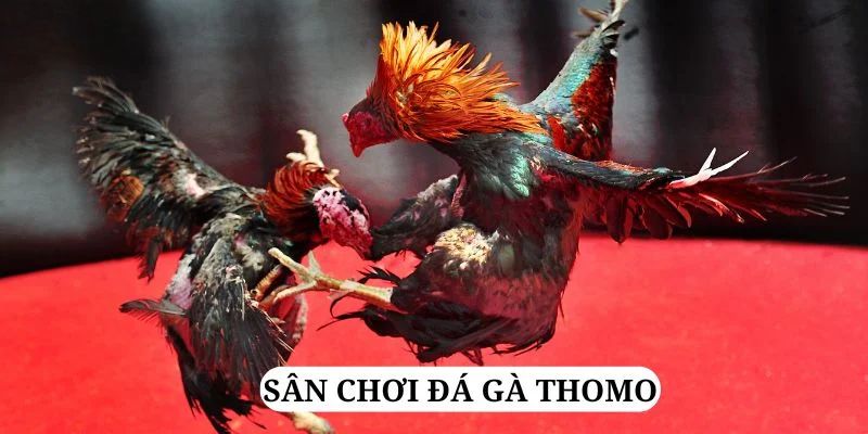 sh bet quay nổ hũ là gì