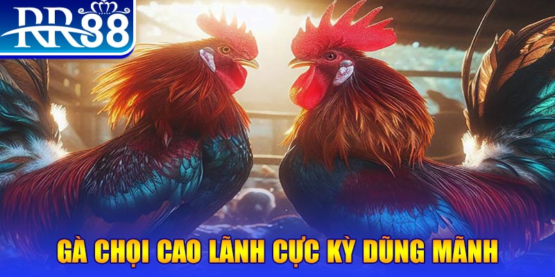 sh bet đăng nhập poker live
